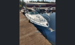 Chris Craft 252 Crowe-kuva-12